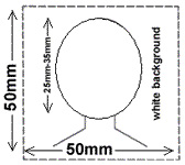 passport/visa photo required size