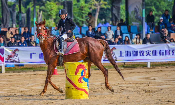 700 3馬術(shù)表演.jpg