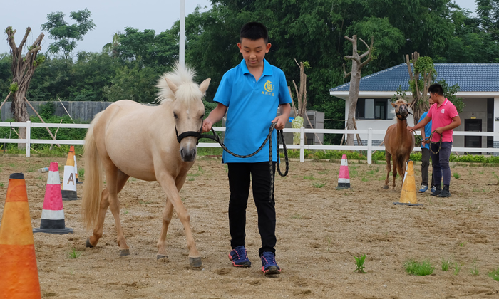 700 12牽著小馬.jpg