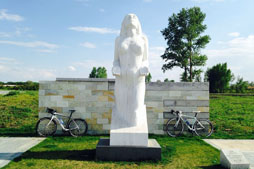 254.jpg