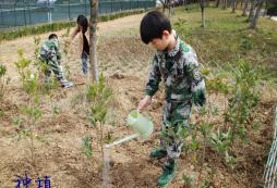 安徽軍事夏令營7天營與10天營的區(qū)別