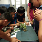 雙語游學給孩子一個別樣的暑期