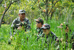 參加軍事夏令營能改掉孩子的陋習(xí)