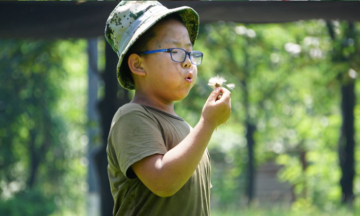 北京小學(xué)生夏令營費用