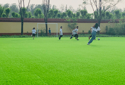 這種學生要參加北京學能夏令營！