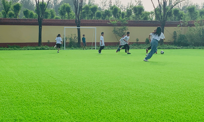 北京學(xué)能夏令營.gif