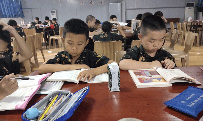 書是人類進(jìn)步的階梯