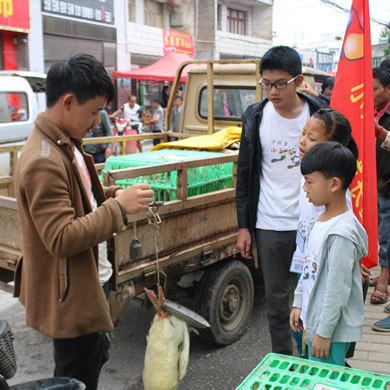 畢節(jié)軍事訓練營提供安全的營地環(huán)境
