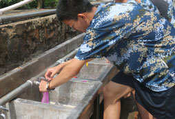 水球大戰(zhàn)
