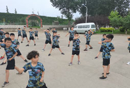 打軍體拳