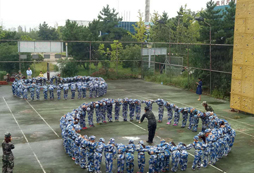 集體大活動