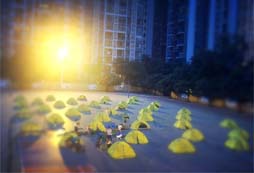 參加國學(xué)夏令營玩轉(zhuǎn)炫酷的假期