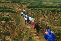崎嶇的上山之路