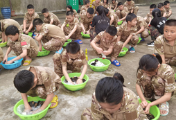 選擇安徽搏燃少年軍事夏令營的理由是什么？