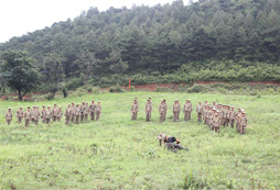 八一軍事夏令營的千手觀音