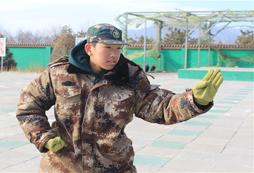 武術