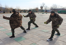 軍體拳