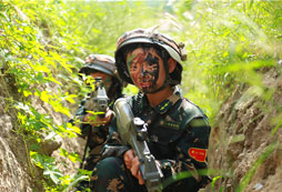 2024八一軍事夏令營的口碑如何？