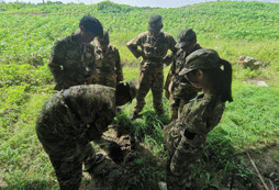八一軍事夏令營為什么受歡迎？