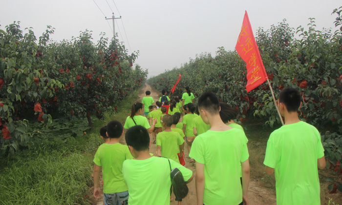 體驗(yàn)果園