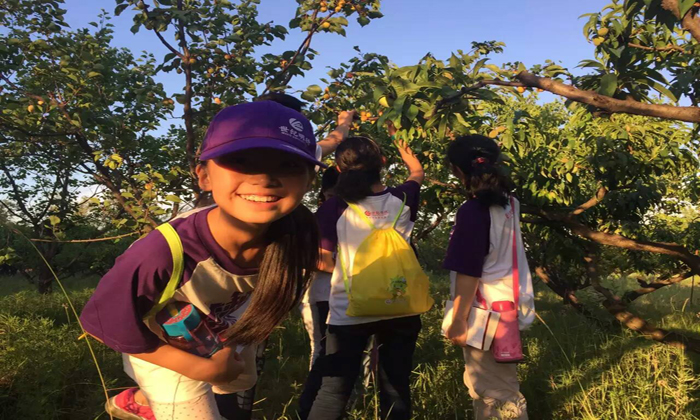 成都路尋戶外夏令營對(duì)孩子教育有幫助