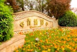 口才夏令營為什么如此受中小學(xué)生青睞
