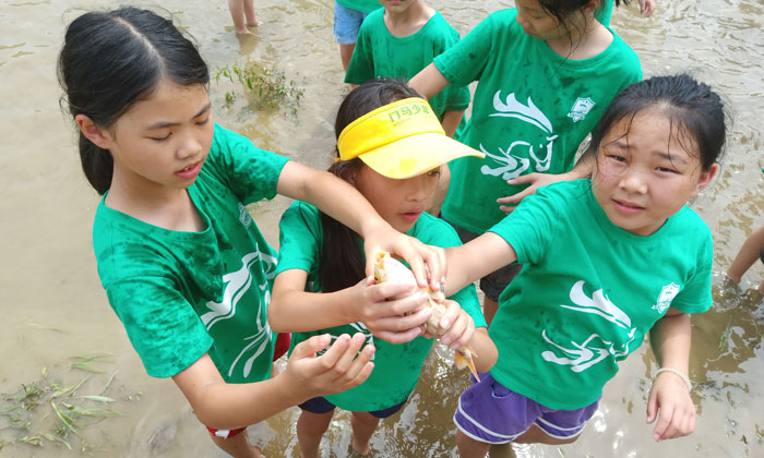 長(zhǎng)沙青少年夏令營(yíng)怎么選