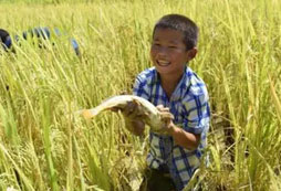 留守兒童夏令營(yíng)讓青少年知恩、感恩！