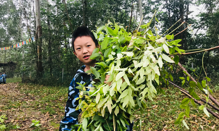 成都夏令營報名多少錢
