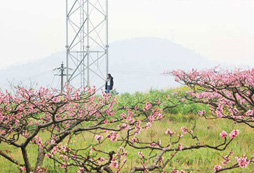 成都龍泉新光華拓展培訓(xùn)基地