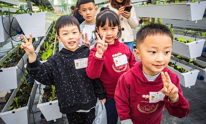 成都青少年夏令營有哪些