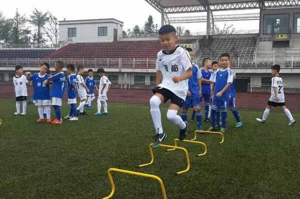 53567558453593525411.jpg