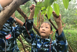 成都中學(xué)生的夏令營(yíng)價(jià)格怎么樣