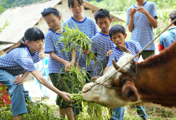 中小學(xué)生參加吃苦夏令營(yíng)需要多少錢？