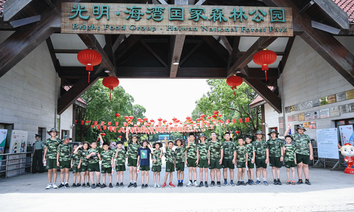 吃苦夏令營有哪些
