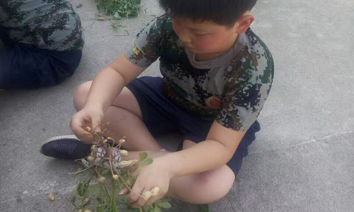 暑期吃苦夏令營