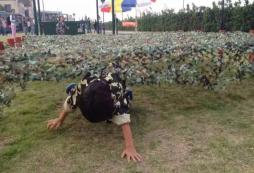 想要體驗軍事活動？重慶軍事夏令營來滿足你