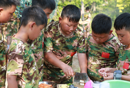 我的飯我做主