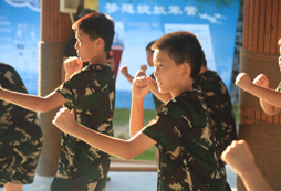 擒敵拳