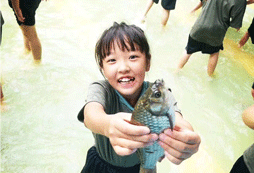 摸魚