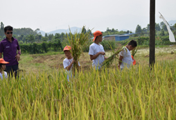 體驗農(nóng)耕