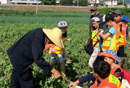 為什么大理研學夏令營如此受歡迎