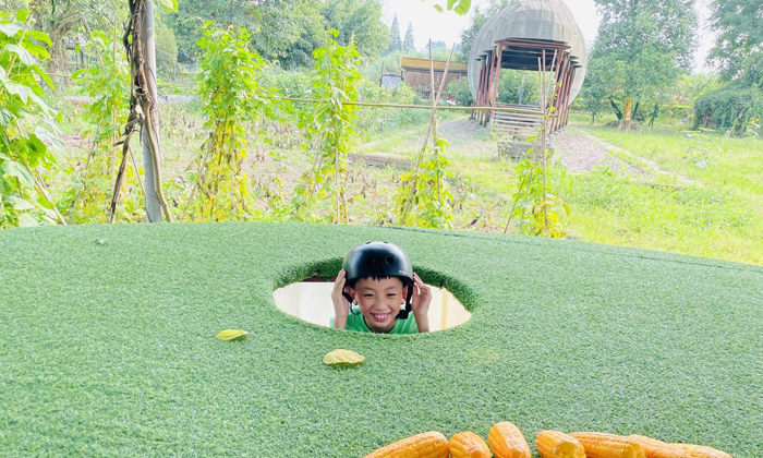 打地鼠