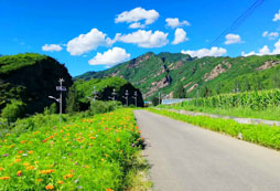 風(fēng)景路邊照