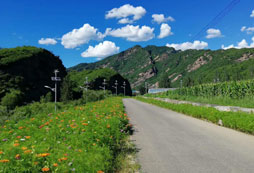 路邊風(fēng)景照