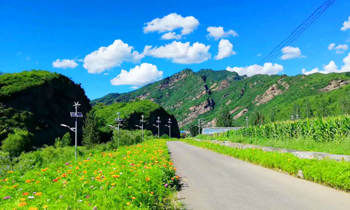 風(fēng)景路邊照