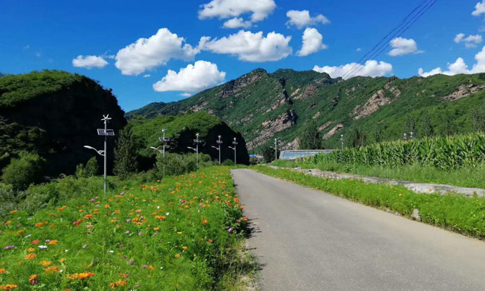 路邊風(fēng)景照