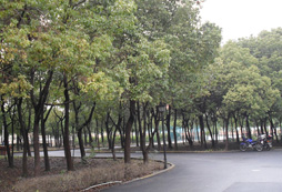 校園區(qū)域