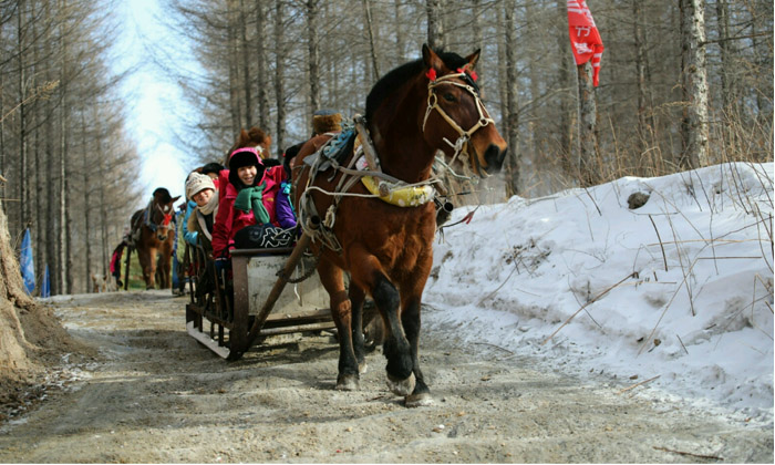 中學(xué)生東北滑雪夏令營可以玩到什么項(xiàng)目？