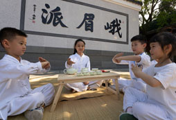 暑期峨眉武術(shù)夏令營課程目的有哪些？